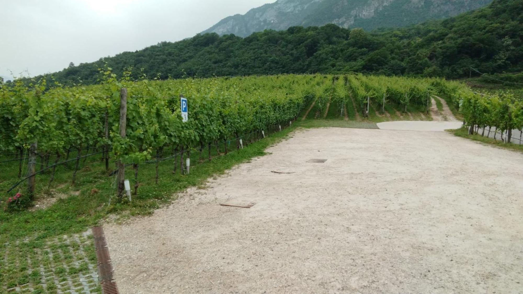 Agriturismo Margone Trento Exterior photo