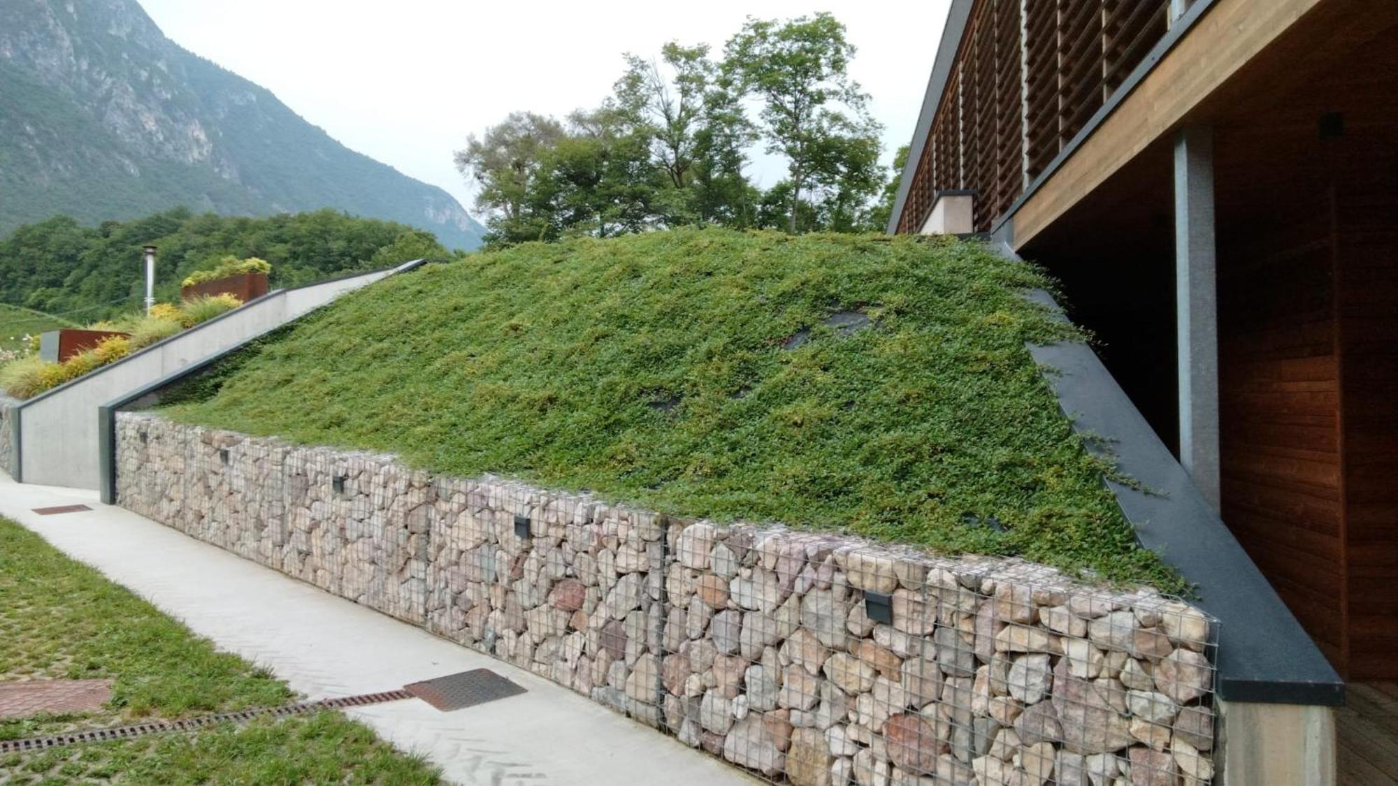 Agriturismo Margone Trento Exterior photo